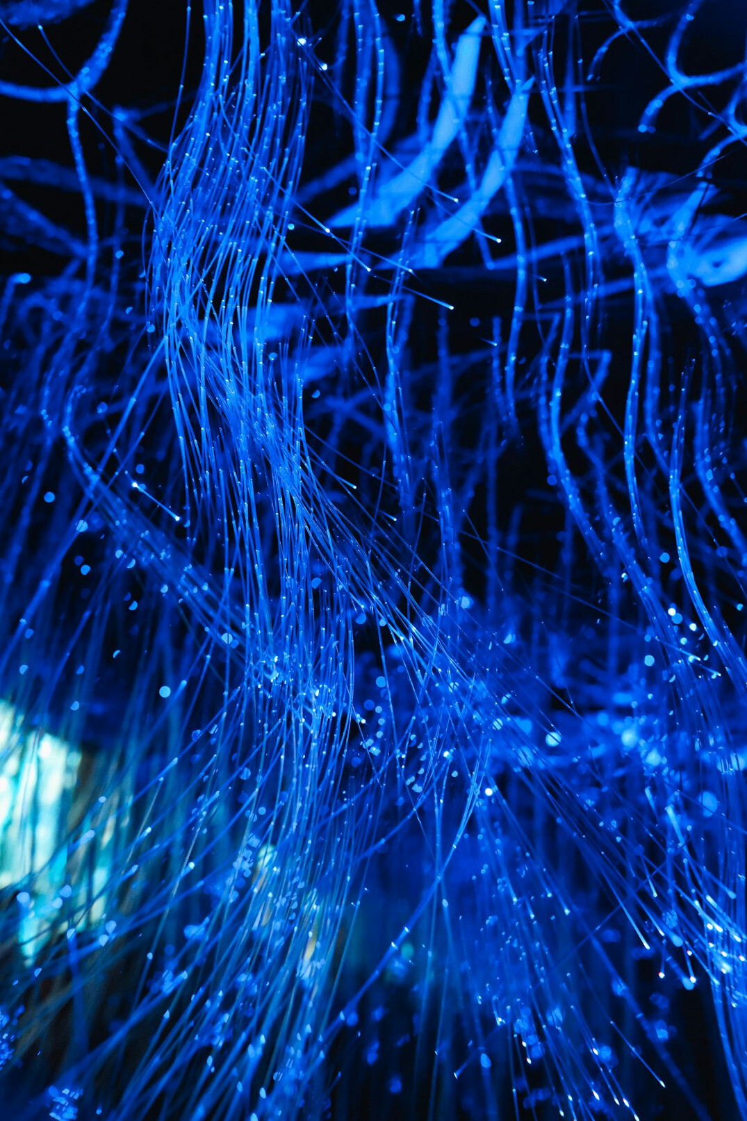 Close-up of fibre optic cables with glowing light